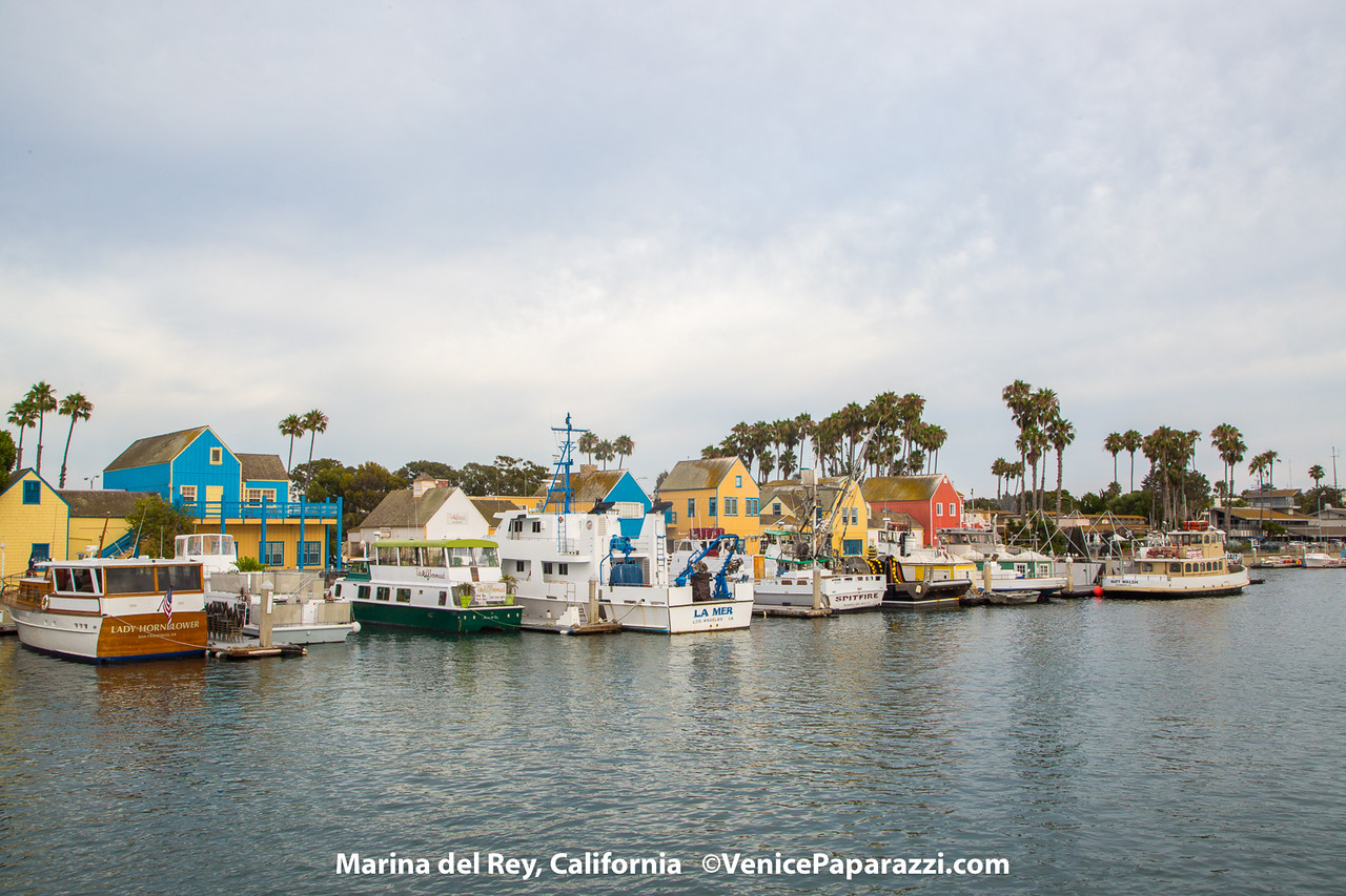 Marina del Rey Coisas a Fazer